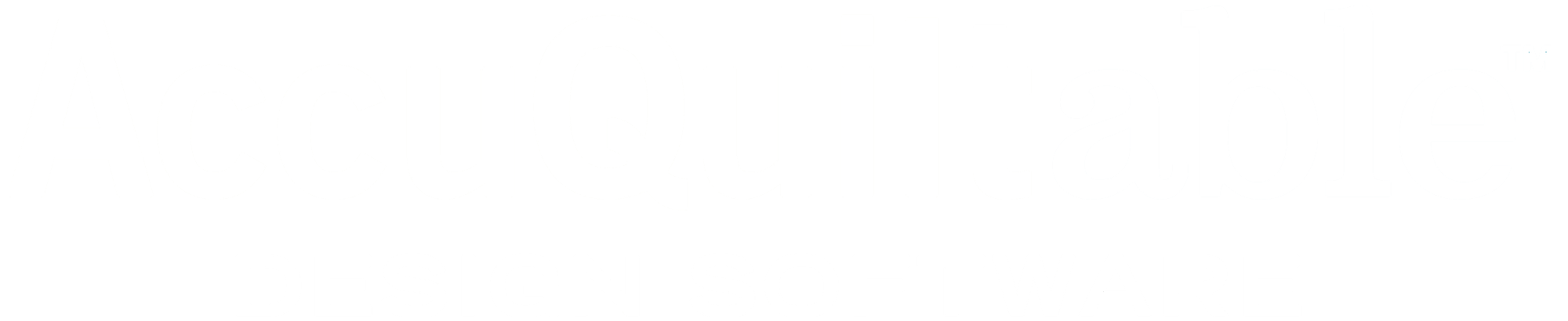 Introducing AccuQuiltable™ Design Software